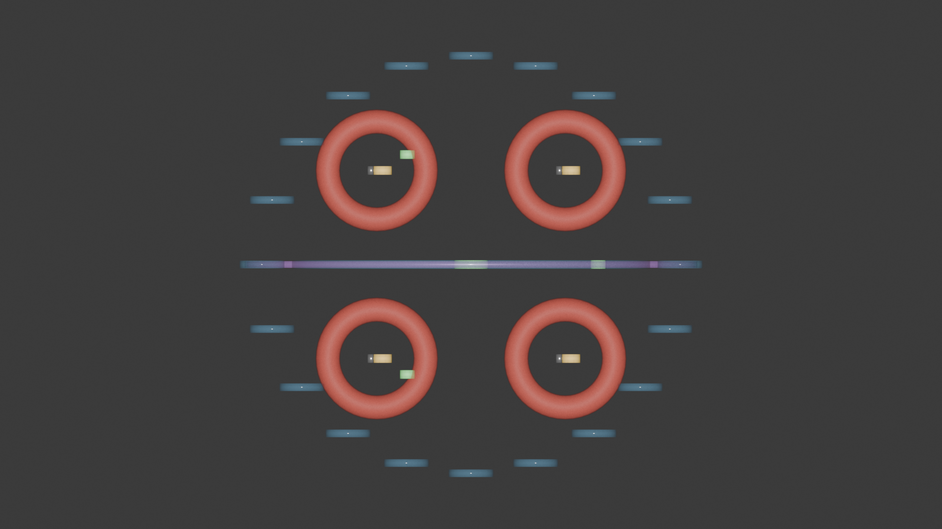 Fascicle cross-section render