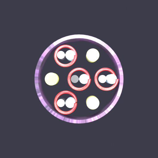 Fascicle 2D cross-section render