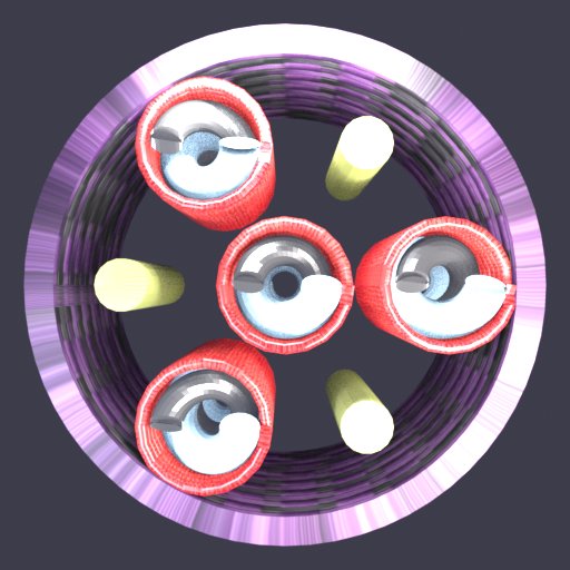 Fascicle cross-section slice render