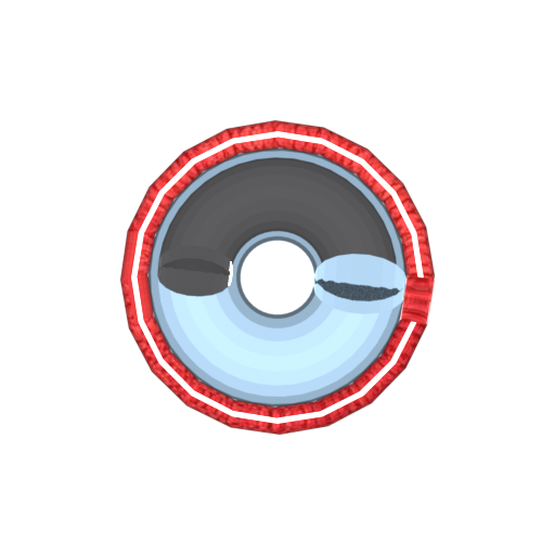 Fiber cross-section render