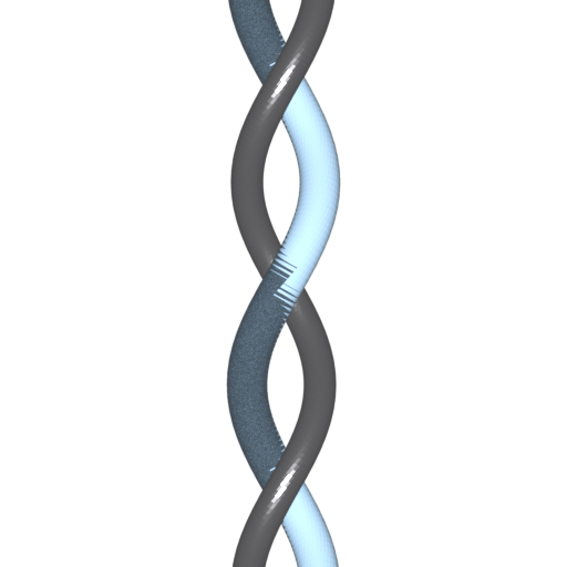 Fascicle render